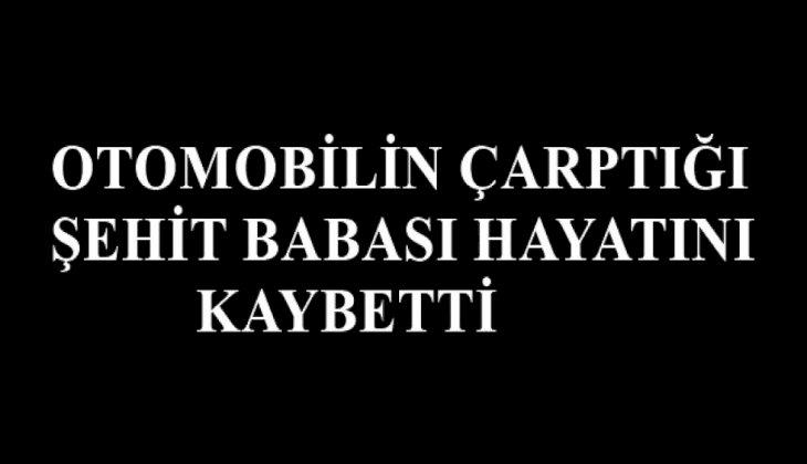 Otomobilin çarptığı şehit babası hayatını kaybetti