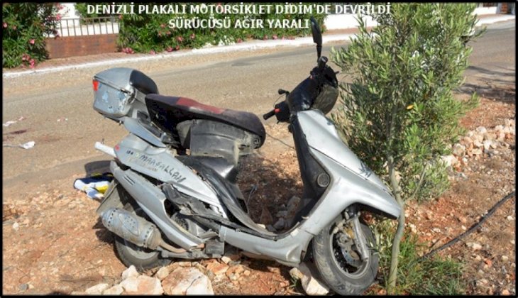 Didim'de 20 plakalı motosiklet devrildi: 1 yaralı