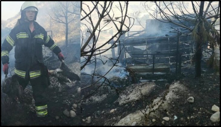 İtfaiye hem yangını söndürdü, hem hayvanları kurtardı