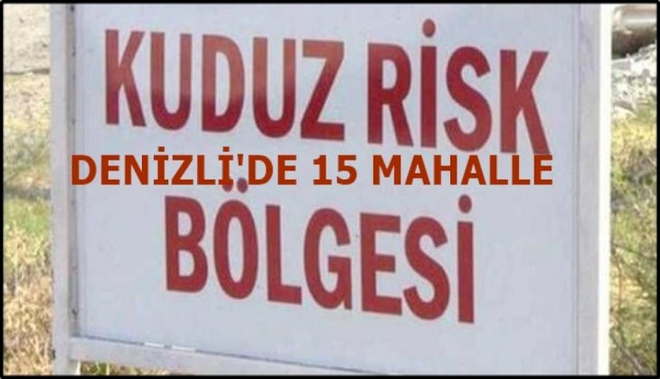 Denizli'de 15 Mahallede kuduz karantinası