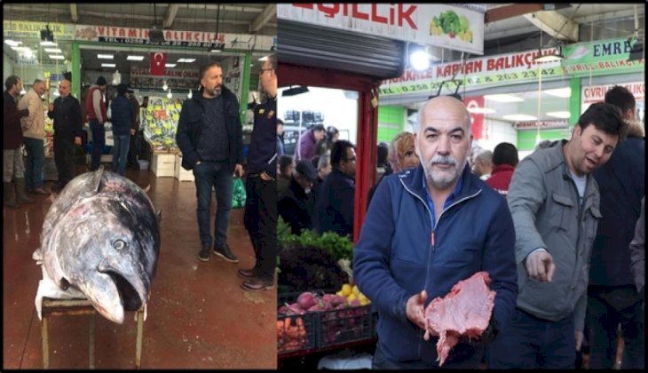 Denizli'de 450 kilogramlık orkinos ilgi odağı oldu