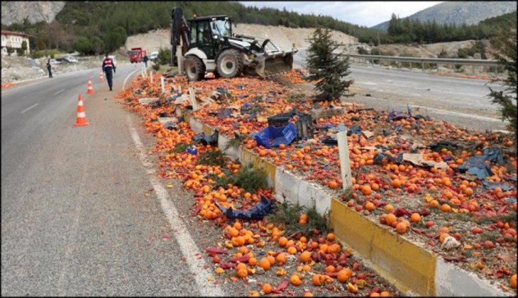 Meyve sebze yüklü kamyon devrildi