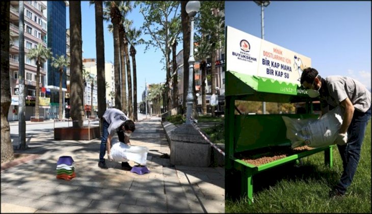 Büyükşehir can dostları da unutmadı