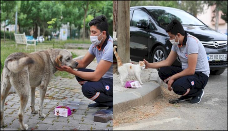 Büyükşehir sokak hayvanlarını bayram'da da yalnız bırakmadı