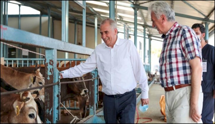 Başkan Zolan canlı hayvan pazarını ziyaret etti