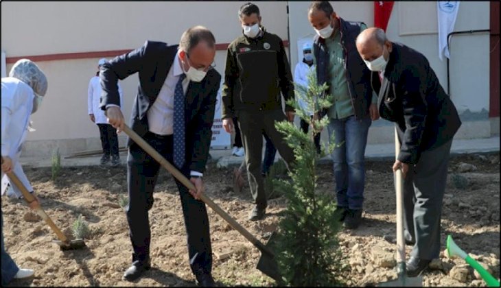 Pamukkale Belediyesi'nden Milli Ağaçlandırma Gününe Destek