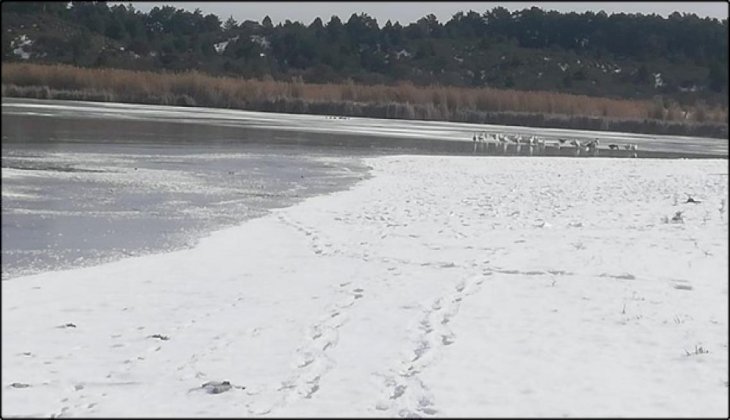  Sıcaklıklar eksiye düşünce Süleymanlı Gölü buz tuttu