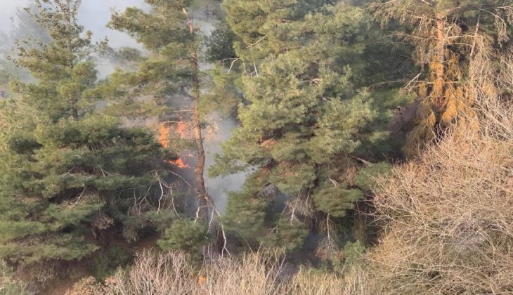 Honaz'da Orman Yangını Meydana Geldi
