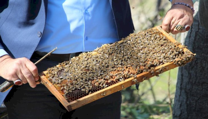 Arı Yetiştiricileri, İlaçlamadan Korkuyor