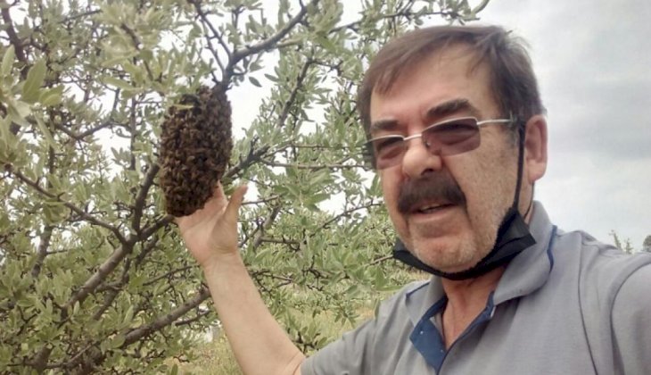 Arılara Fısıldayan Adam, Kıyafet giymeden çıplak elle oğul çıkarın arıları topladı