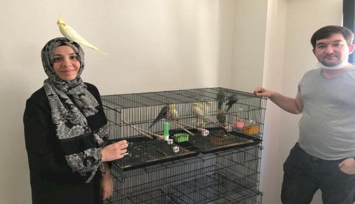 Evli çift evlerine papağan ailesi kurdular