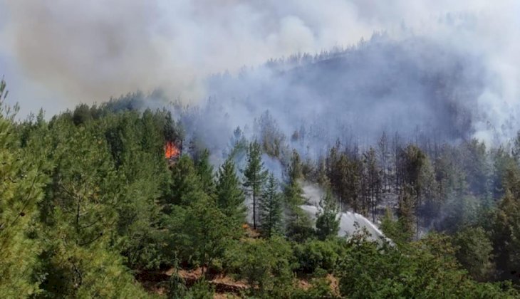 Denizli’deki orman yangını kontrol altına alındı