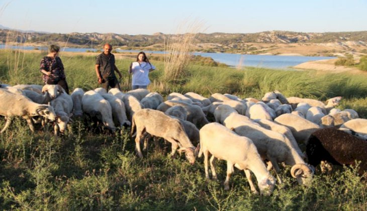 Bu çobanlar farklı, baba ve iki kızı üç dil biliyor