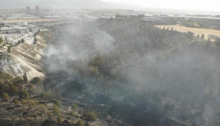 Fabrikaların ortasında çıkan orman yangını söndürüldü