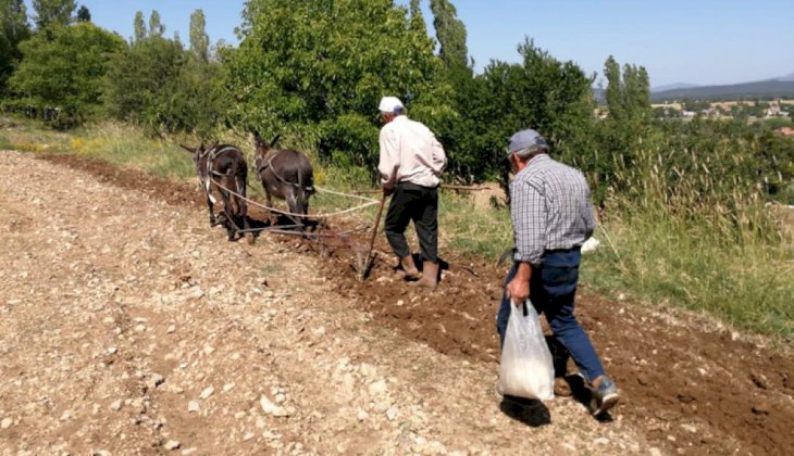 Türk Çiftçisi Karasabana Tekrar Döndü