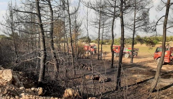  Denizli'de 1 günde 2. orman yangını çıktı