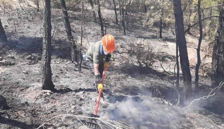 Ormanlık alanda çıkan yangında 2 hektar alan kül oldu