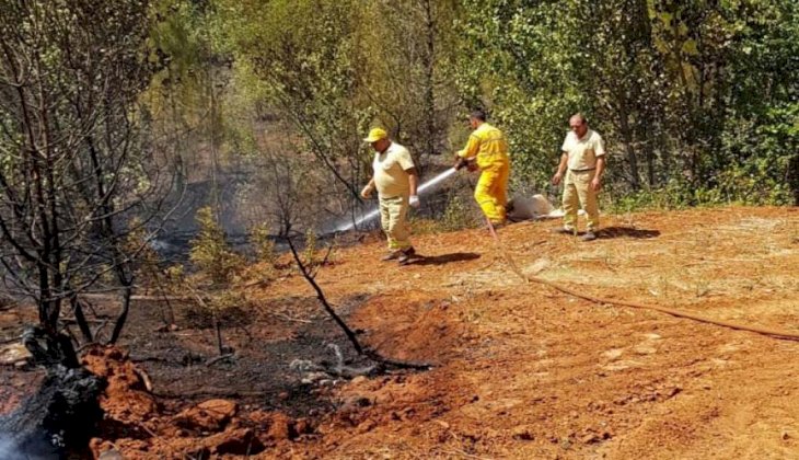Orman yangınında kundaklama iddiası 