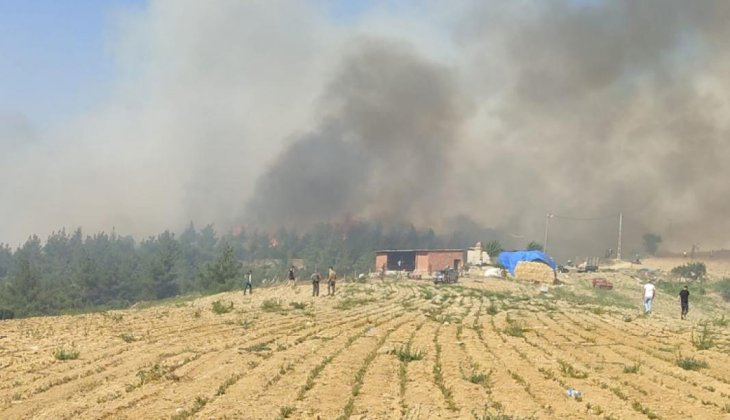 Orman yangını bir mahalleyi tehdit ediyor 
