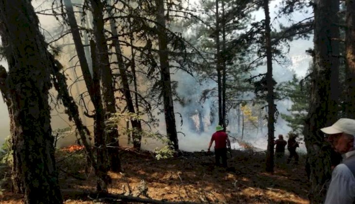 Buldan'daki 2. orman yangını da söndürüldü 
