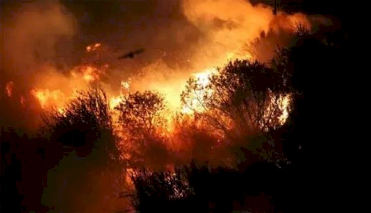 Muğla'daki yangınlara 6 tutuklama yapıldı