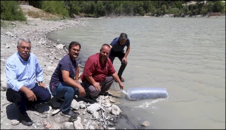 Çameli’nin doğal güzelliği Kolak Gölüne 10 bin yavru sazan balığı bırakıldı