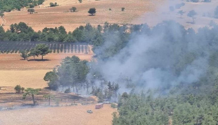 Orman yangını vatandaş ve ekiplerin müdahalesiyle söndürüldü 