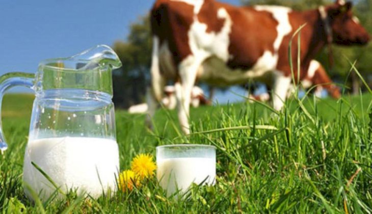 Süt ve Süt Ürünleri Üretimi arttı