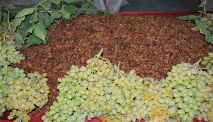 Kuru üzüm ihracatçıları tüketici ülkelere ürün satmak için kolları sıvadı