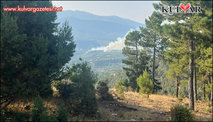 Acıpayam'da orman yangını