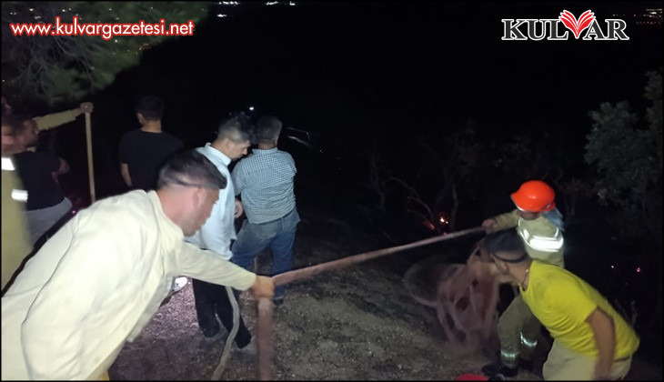 Aydın - Denizli sınırında çıkan orman yangını kontrol altına alındı