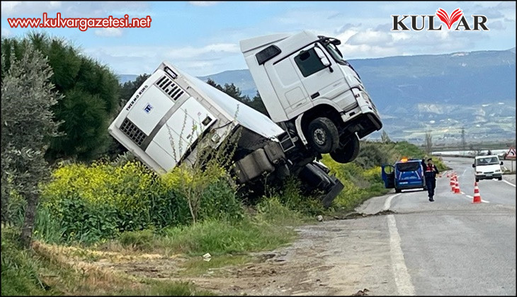 Bağa giren tır şaha kalktı
