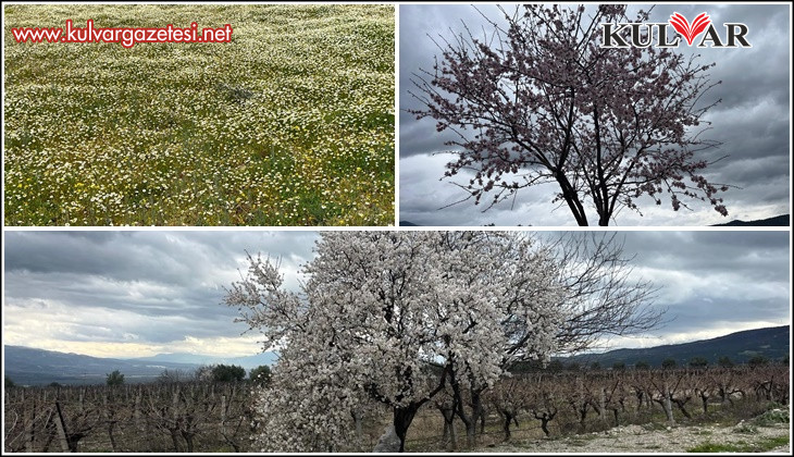 Bahar renkleriyle geliyor