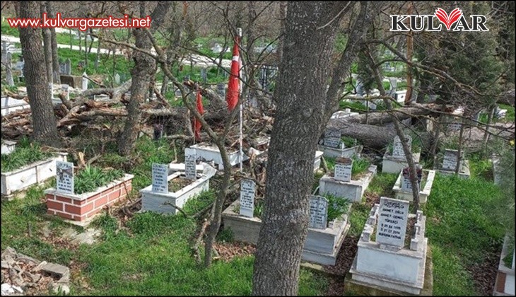 Bakımsızlıktan yıkılan ağaçlar mezarlara zarar verdi