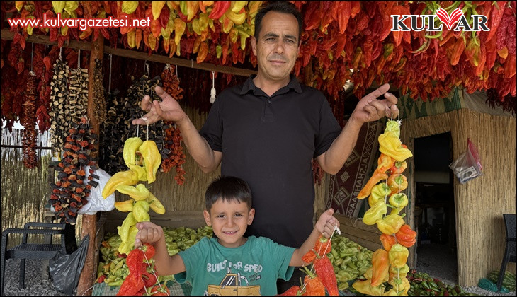 Başkan Sağınç tescilli Kale Biberini tanıtmak için ailesiyle birlikte kolları sıvadı