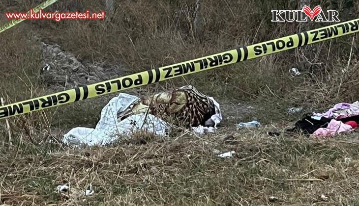 Boş araziye atılmış kadın cesedi bulundu