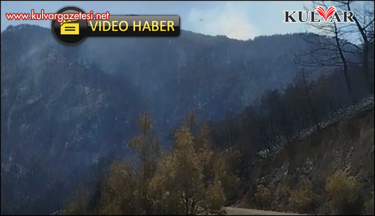 Buldan dağlarının yeşil örtüsü siyaha büründü