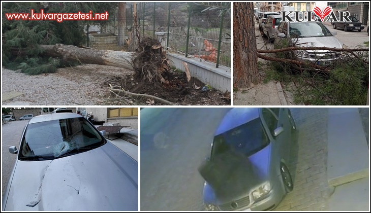 Buldan’da ağaçlar devrildi, bacalar uçtu