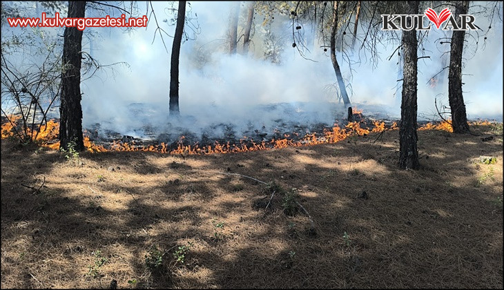 Buldan’da çıkan orman yangını kısa sürede kontrol altına alındı