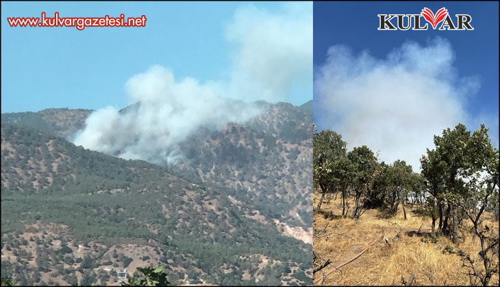 Buldan’da ormanlık alanda yangın çıktı