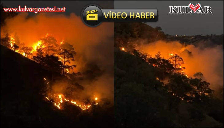 Buldan’da sarp arazide orman yangını çıktı