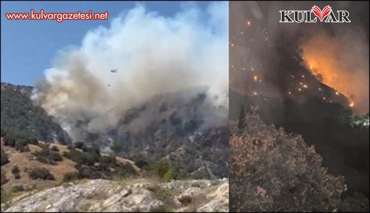 Buldan’da yangını söndürmek için bölgede bulunan dozer operatörü yaralanarak hastaneye kaldırıldı