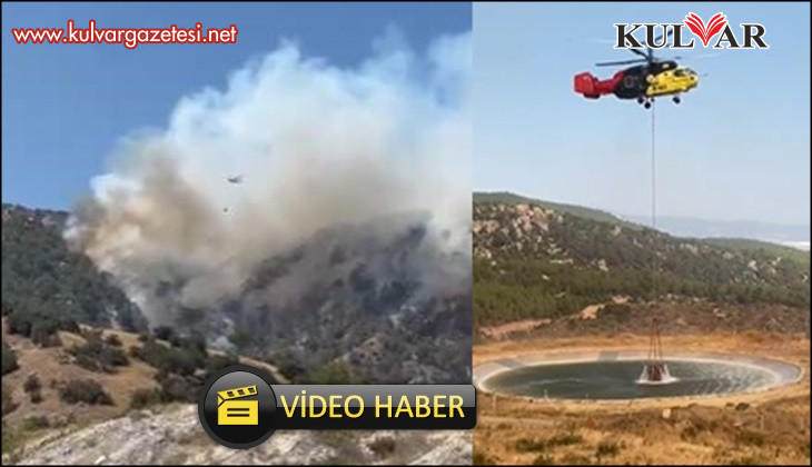 Buldan'daki orman yangına müdahale sürüyor