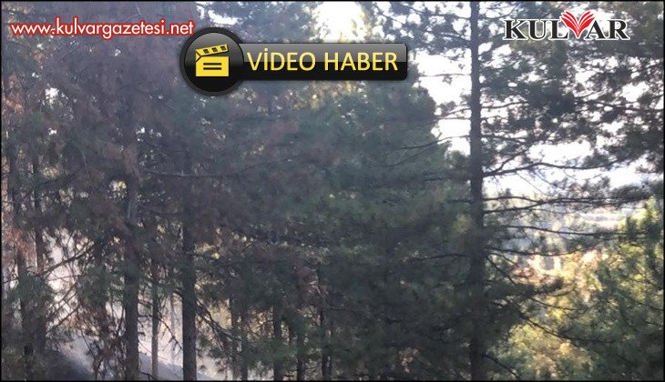 Buldan’daki orman yangını kontrol altına alındı
