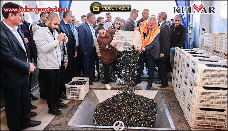 Büyükşehirin kazandırdığı tesisle 506 bin kilogram zeytin işledi