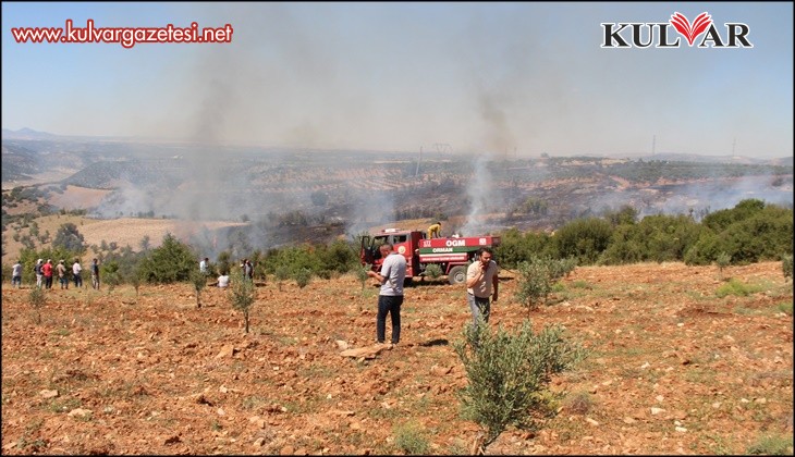 Çal'da makilik alanda çıkan yangında 20 hektar alan zarar gördü