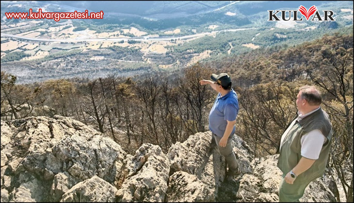 Cankurtaran’da yanan bölgenin ağaçlandırılması için çalışmalara başlandı