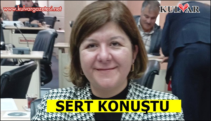 “Çavuşoğlu Ucuz Kahramanlık Peşinde”