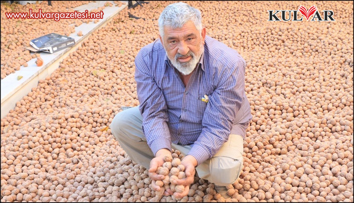 Ceviz üretimiyle Avrupa'daki maaşından daha çok kazanıyor