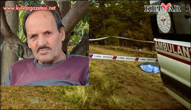 Çıntar toplamak için gittiği ormanda ölü olarak bulundu